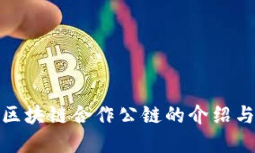 BSN区块链合作公链的介绍与展望
