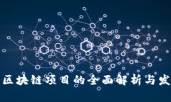 竞彩类区块链项目的全面解析与发展趋势