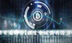 国外区块链项目有哪些？探索全球最具潜力的区