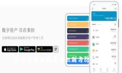 低端区块链骗局的识别与防范指南