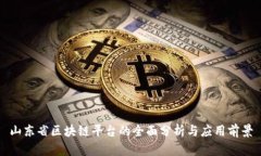 山东省区块链平台的全面分析与应用前景