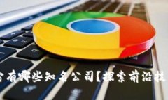 区块链元宇宙有哪些知名公司？探索前沿技术与