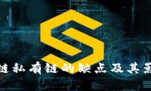 : 区块链私有链的缺点及其影响分析