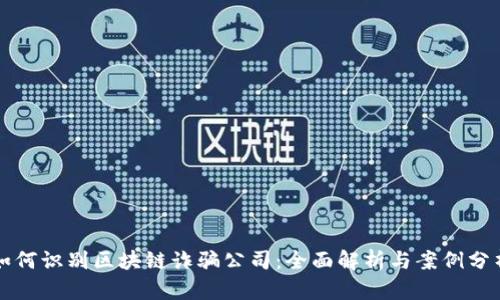 如何识别区块链诈骗公司：全面解析与案例分析