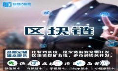 香港龙头区块链项目全面分析