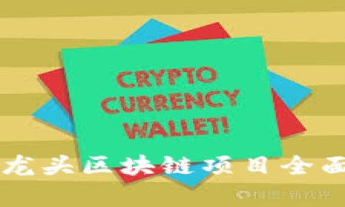香港龙头区块链项目全面分析