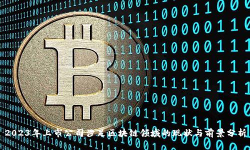 2023年上市公司涉足区块链领域的现状与前景分析