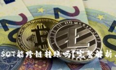 : TP钱包USDT能跨链转账吗？完整解析与操作指南
