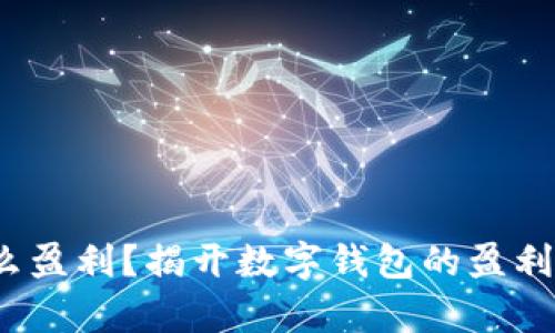 t p钱包怎么盈利？揭开数字钱包的盈利模式与策略
