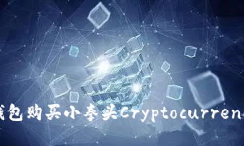 如何通过TP钱包购买小拳头Cryptocurrency的详细指南