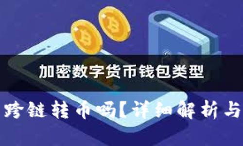 TP钱包能跨链转币吗？详细解析与使用指南