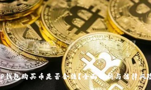 TP钱包购买币是否合法？全面解析与法律风险